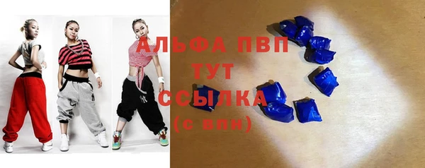 СК Богородск